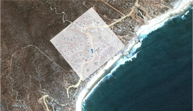 Project Managers Developers